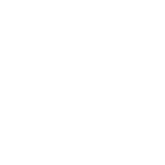 White Icon