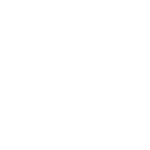 White Icon