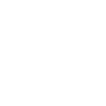 White Icon