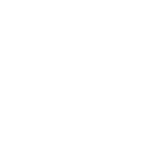 White Icon