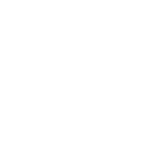 White Icon