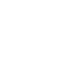 White Icon