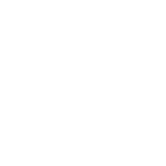 White Icon