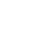 White Icon