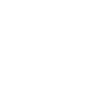 White Icon