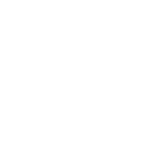 White Icon